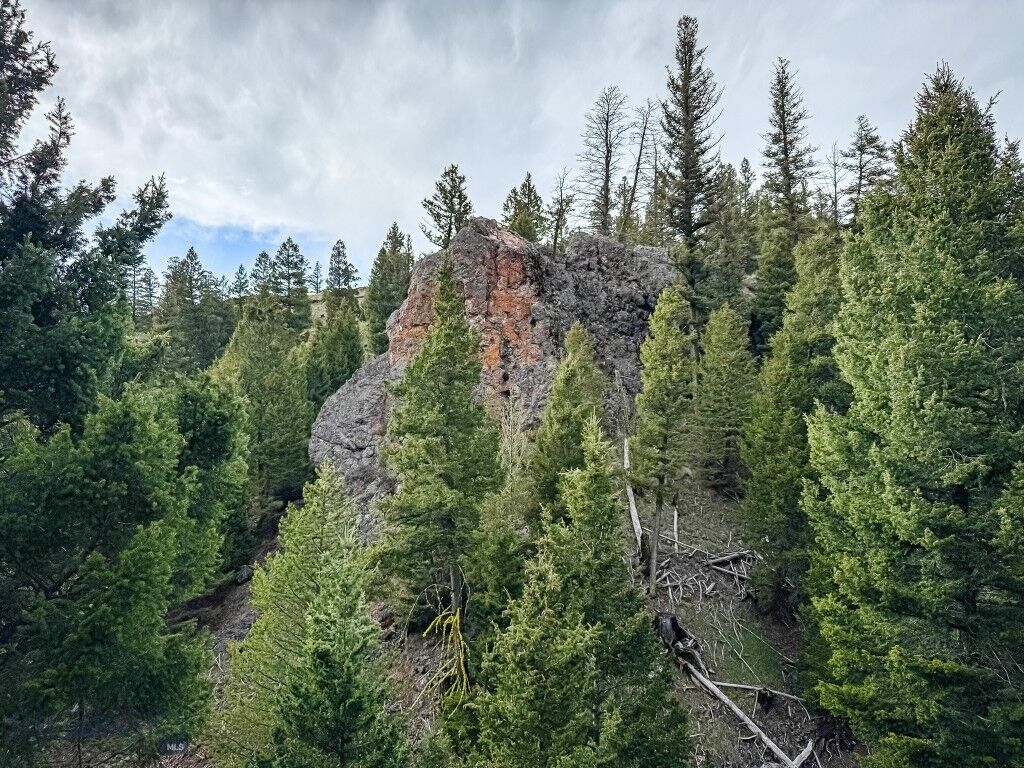 Property Photo:  Nhn Hoover Creek Road  MT 59843 