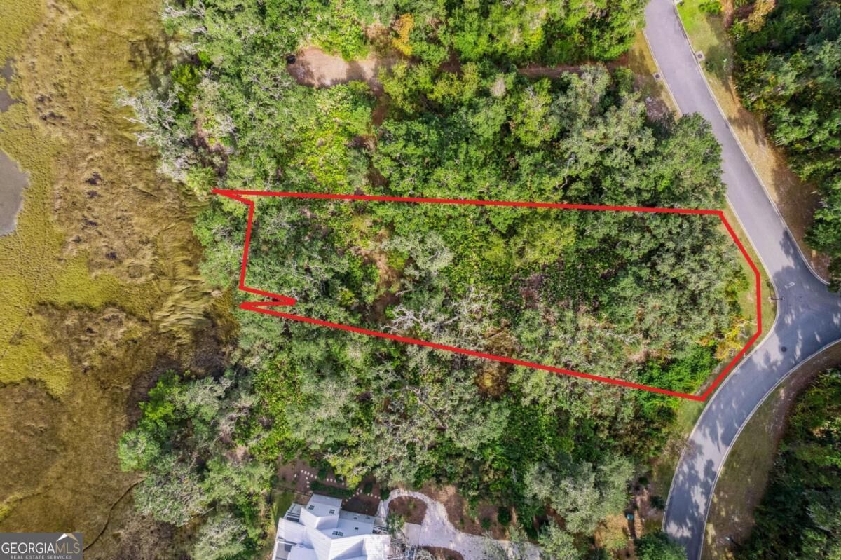 Property Photo:  0 Becket Road  GA 31558 