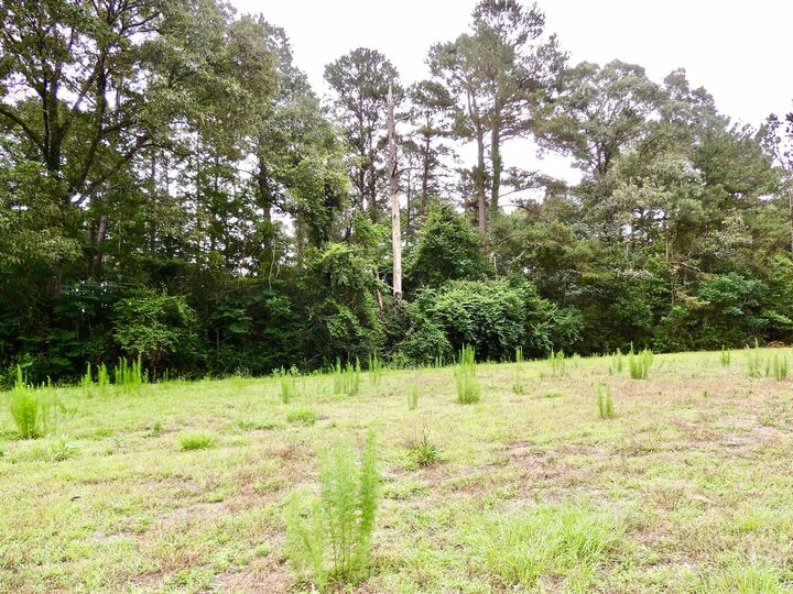 Property Photo:  000 Rocky Branch Rd.  MS 39482 