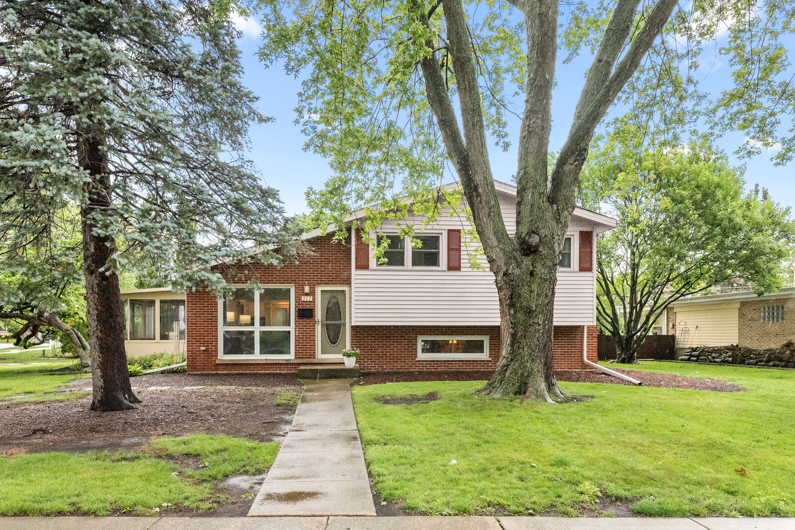 Property Photo:  517 W North Street  IL 60143 