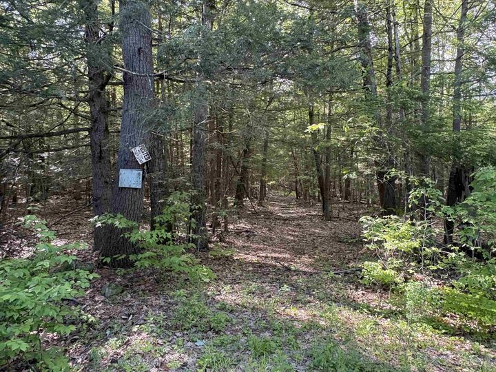 Property Photo: Lot 85 Currier Road NH 03034
