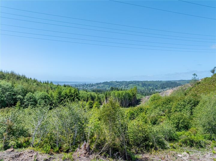 Property Photo:  50 E Wishkah Road  WA 98520 
