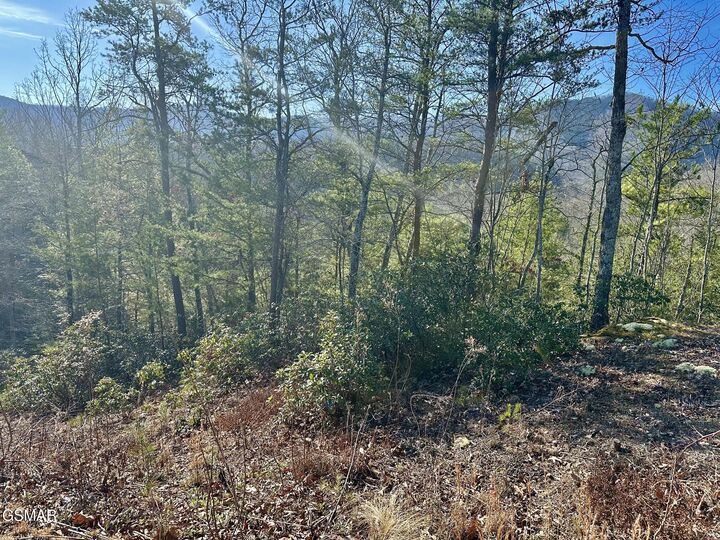 Property Photo: 1306 Morning Dove Way TN 37862