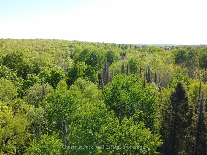 Con 13, Pt Lot 21, Part 1 Golf Course Road — photo 1