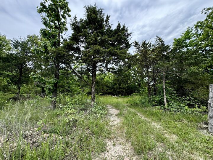 Property Photo:  000 Cottengim Road Road  MO 65702 