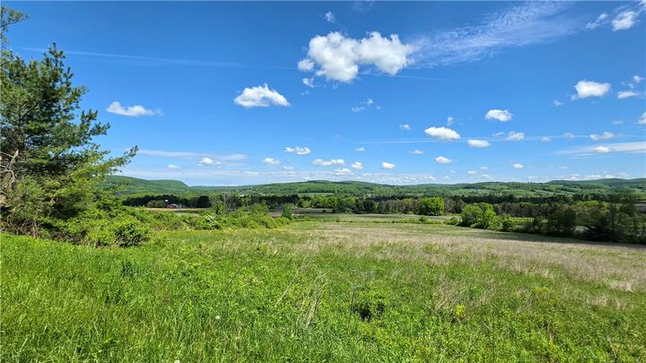 Property Photo:  228 Burns Road  NY 14817 