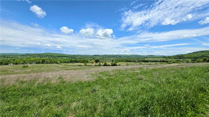 Property Photo:  00 Burns Road  NY 14817 