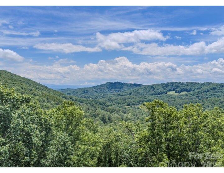 Property Photo:  10 Fall Mountain Road 56  NC 28803 