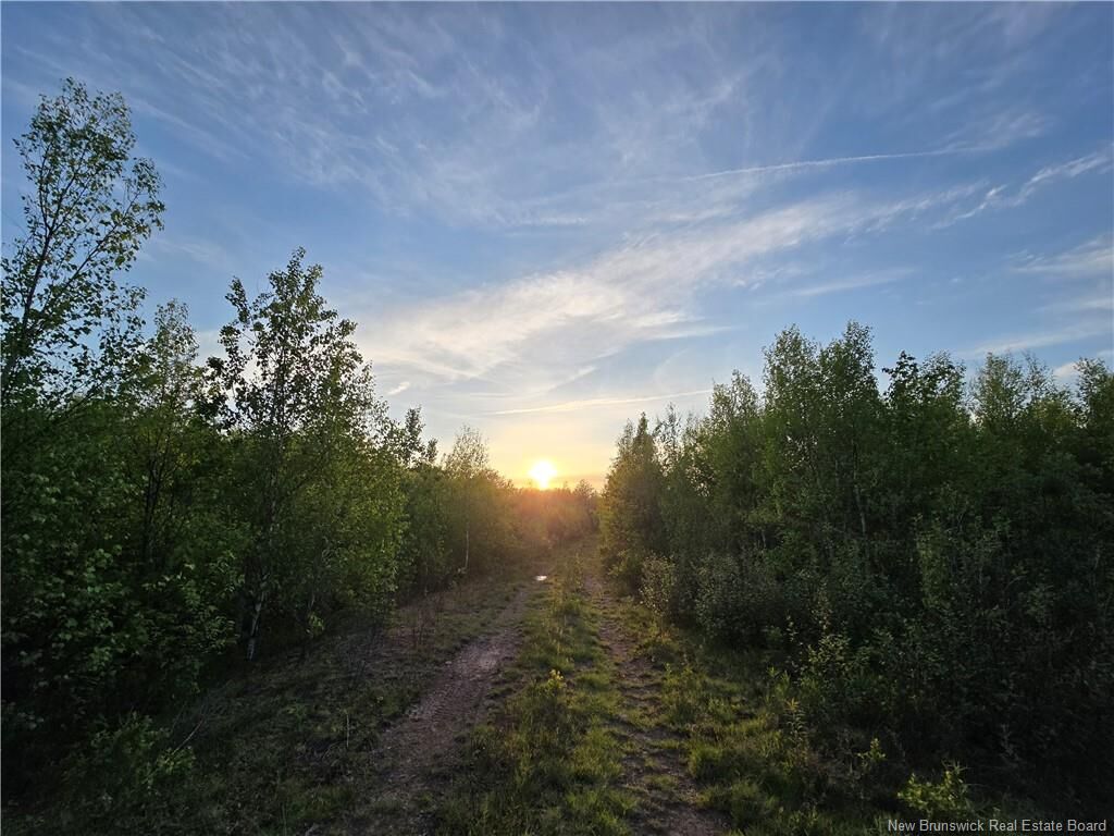 Property Photo:  Lot 2 Dingley Road  NB E4Z 1W1 