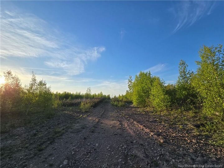 Lot 1 Dingley Road — photo 1