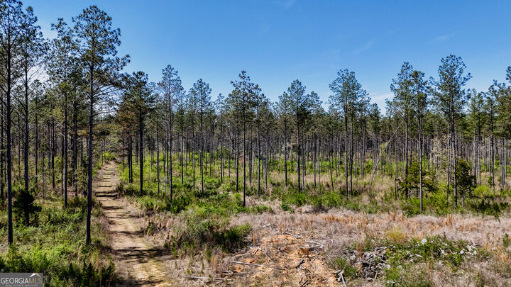 Property Photo:  403 Acres Youngs Farm Road  GA 30125 