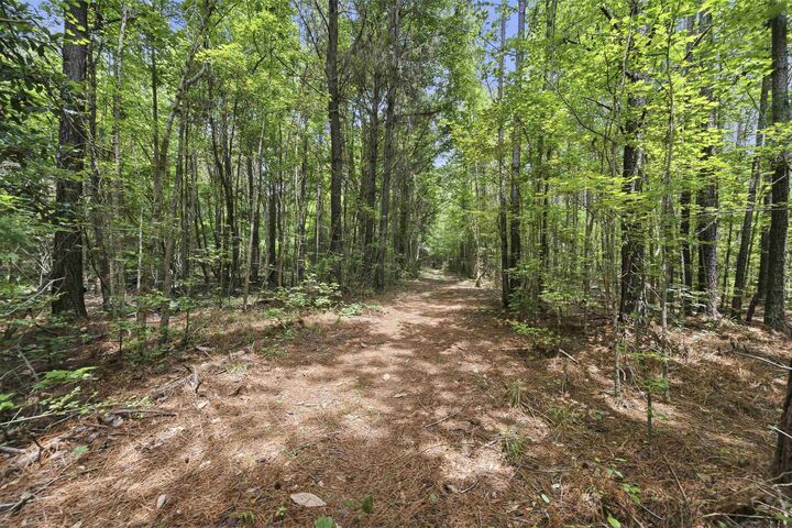 Property Photo: 0 Pear Orchard Road GA 30642-0000