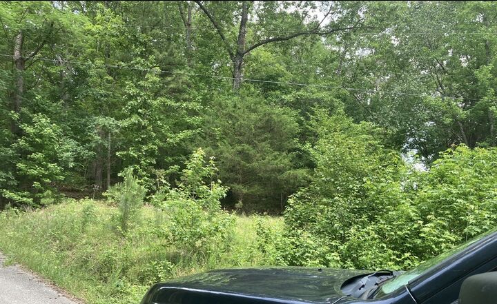Property Photo: 0 Briarwood Drive TN 37061