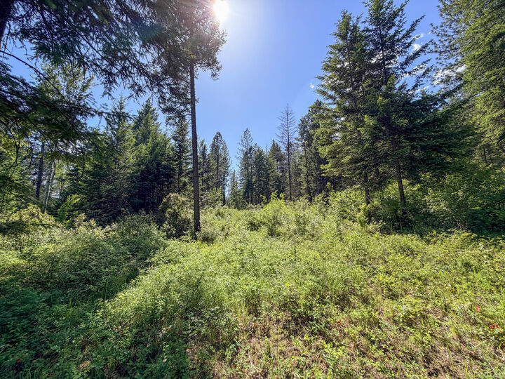 Property Photo:  2008-Tbd (Lot K) Summit Valley Rd  WA 99101 