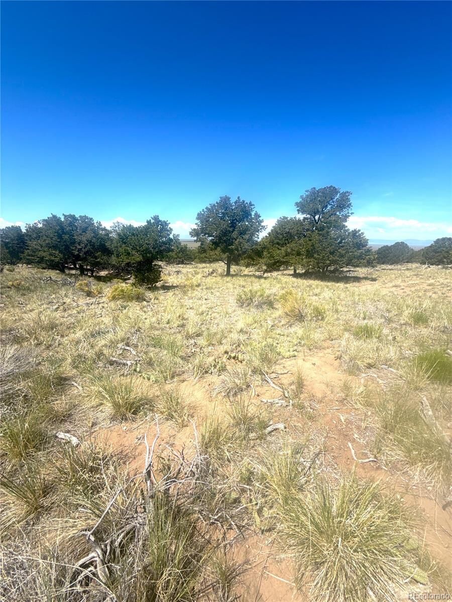 Property Photo:  4469 Greenview Court  CO 81131 