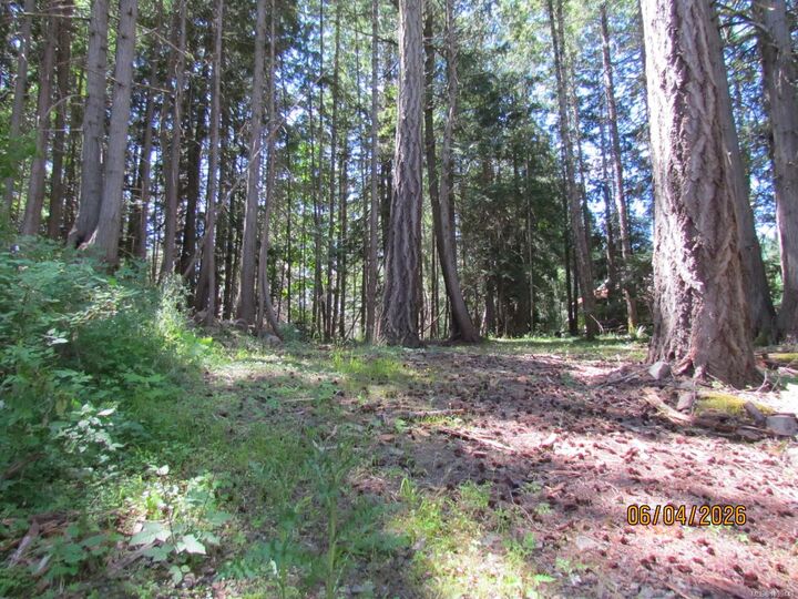 Property Photo:  4523 Bedwell Harbour Rd  BC V0N 2M1 