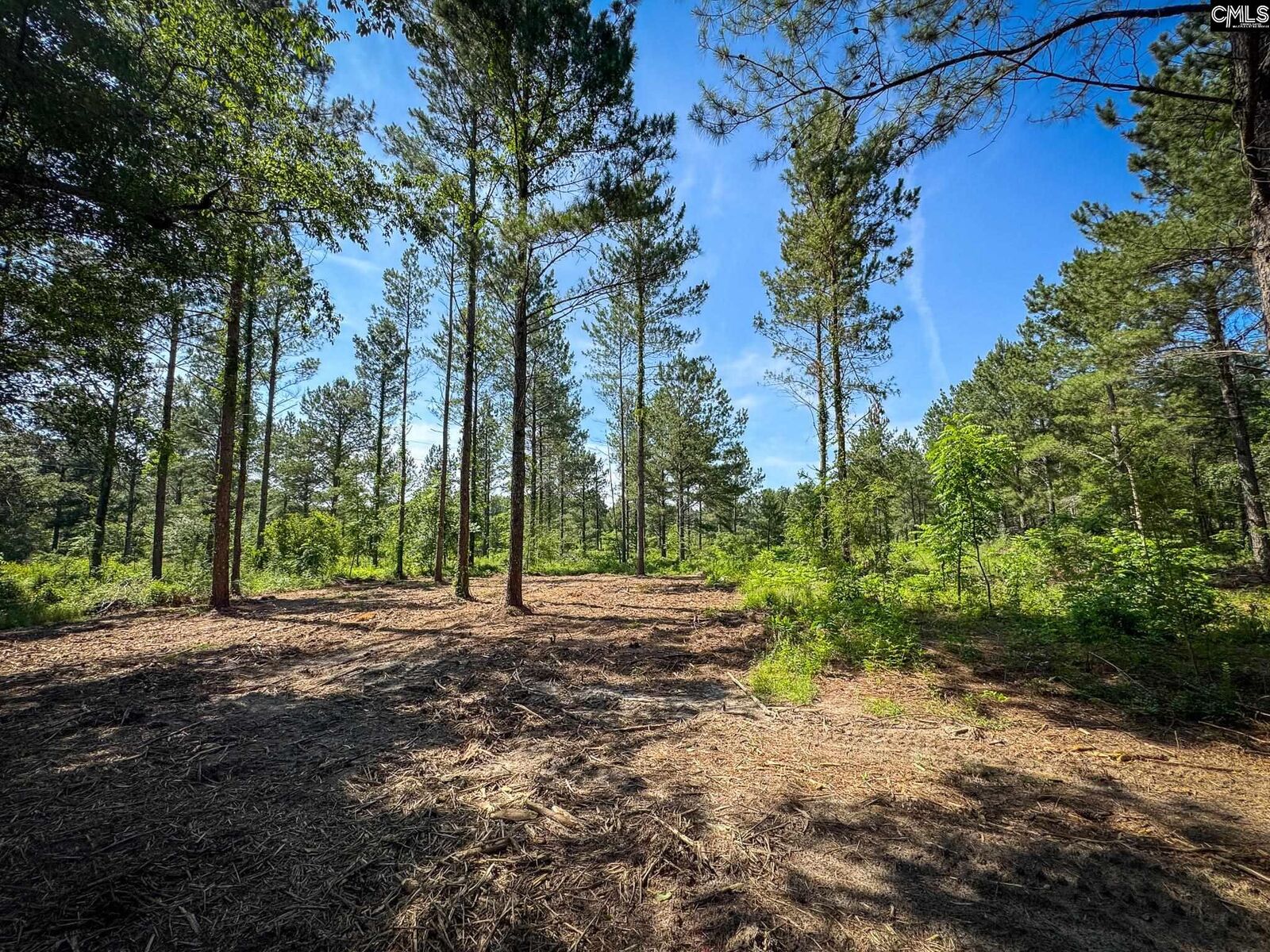 Property Photo: 0 Lewis Waters Lot 1 SC 29070