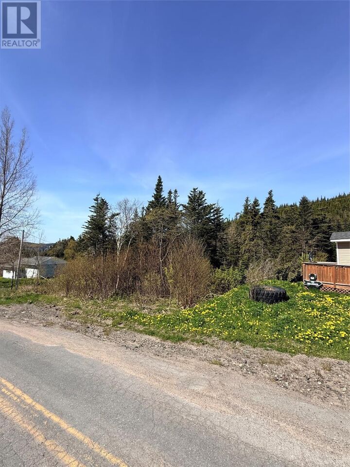 Property Photo:  00 Main Road  NL A0C 1G0 