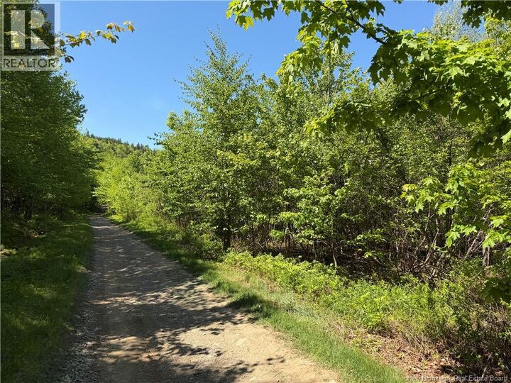 Property Photo:  124 Greenhill Lake Road  NB E6E 1G2 