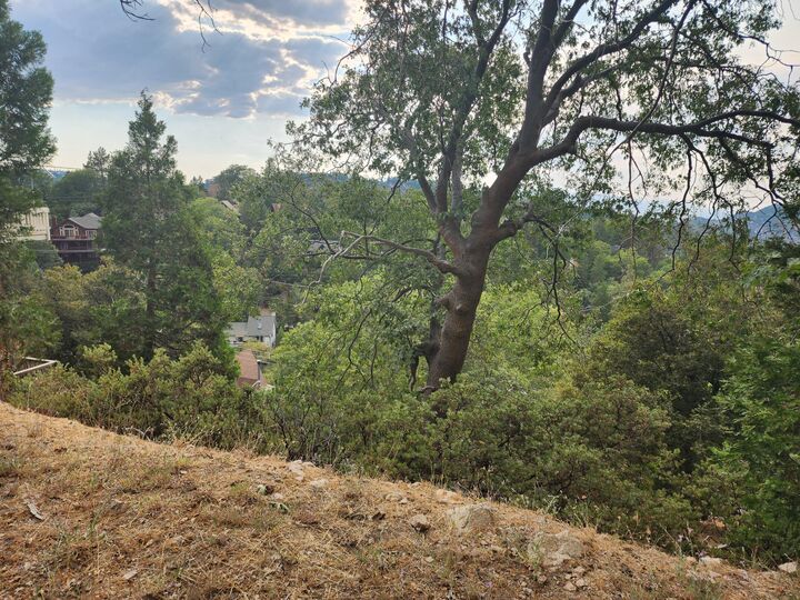 Property Photo: 0 Evergreen Lane CA 92352