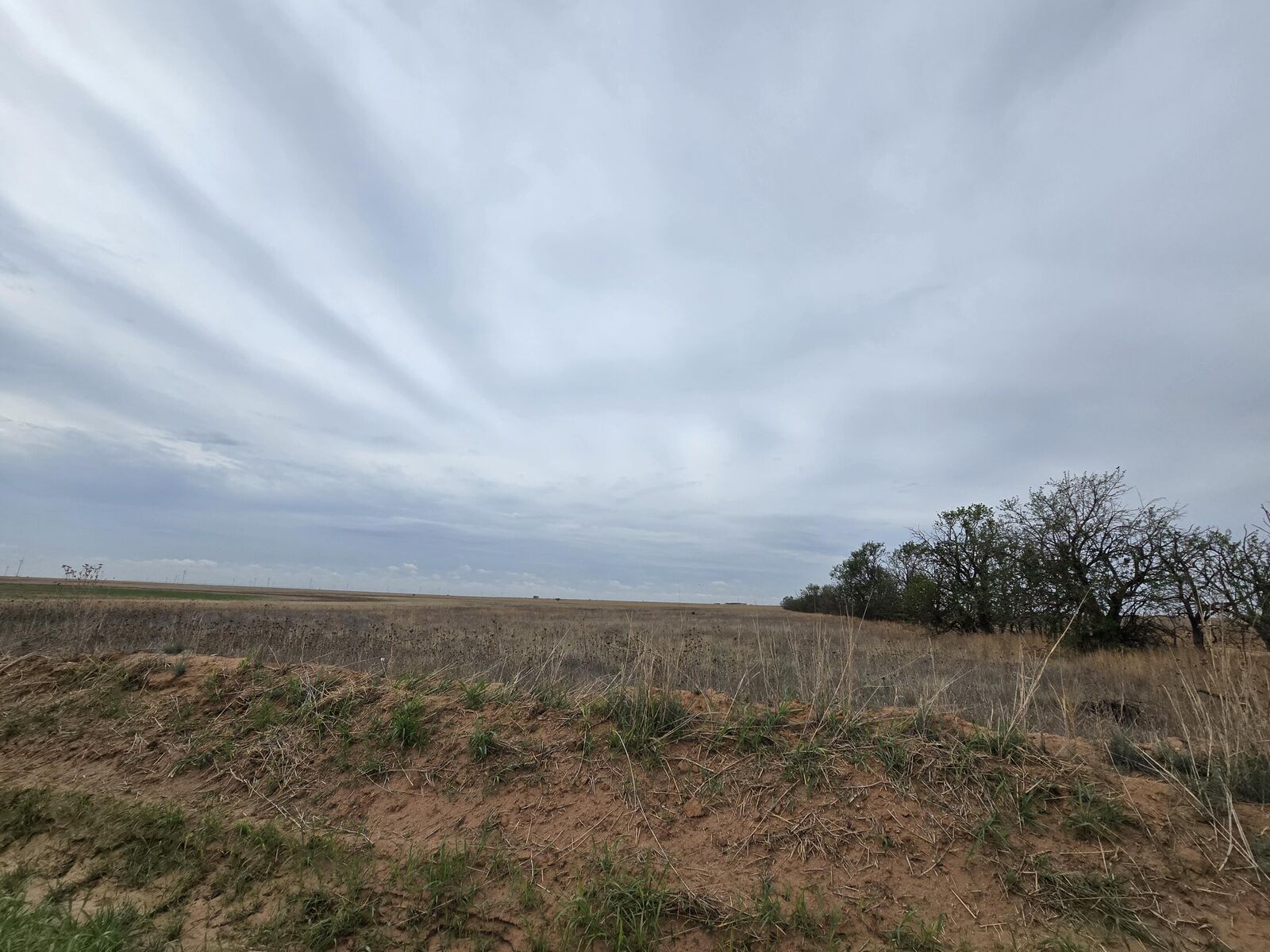 Property Photo: Ab 1580 Blk A-4 Sec 38 W/2 Of NW/4 TX 79041