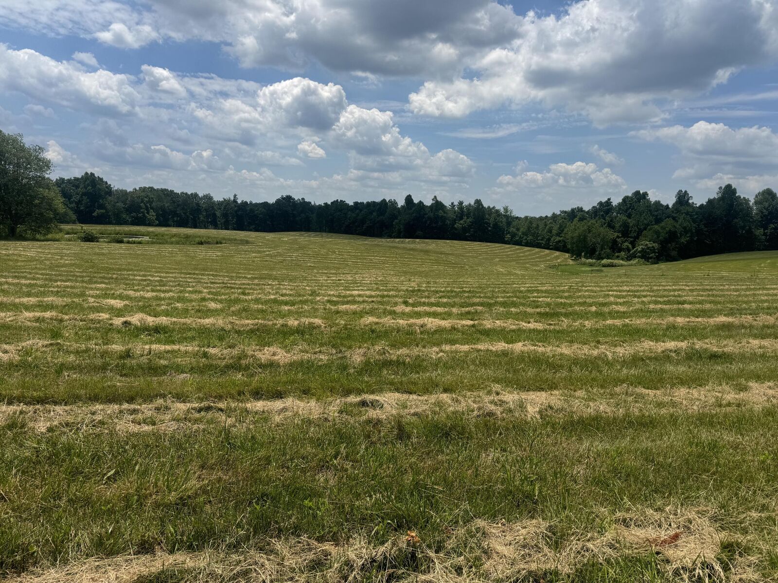 Property Photo: 003 Upper Dry Fork Rd 3 KY 40447