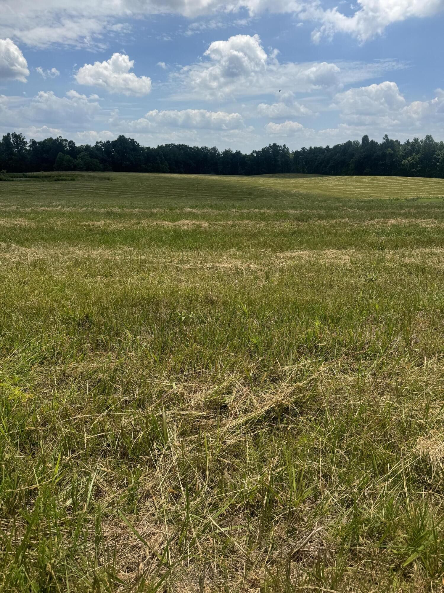 Property Photo: 001 Upper Dry Fork Rd 1 KY 40447