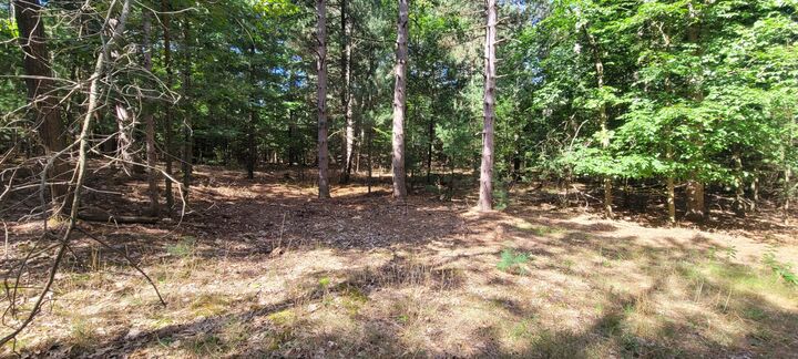 Property Photo:  S 32nd Avenue  MI 49455 