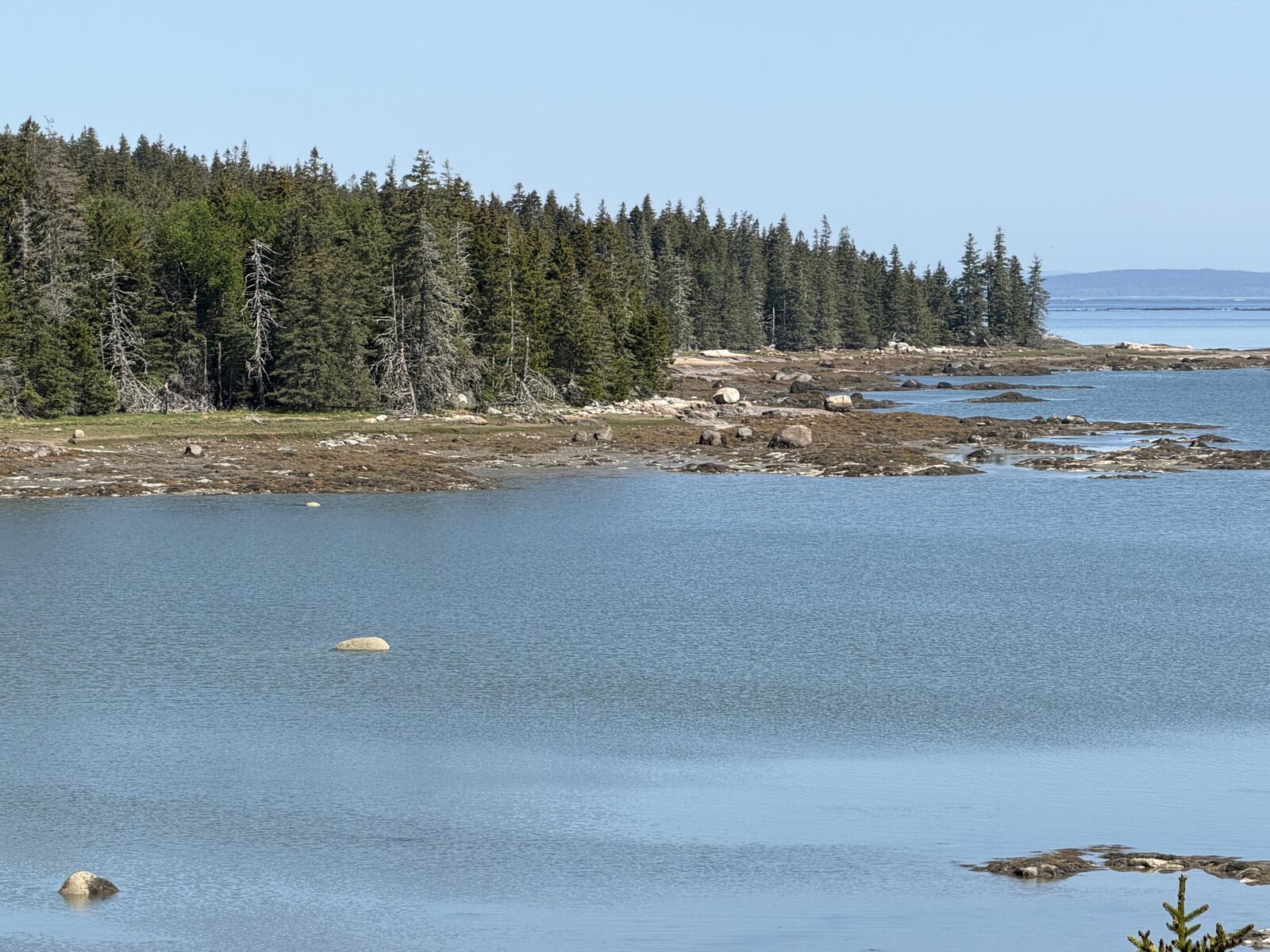 Property Photo:  0 Jericho Bay Road  ME 04685 