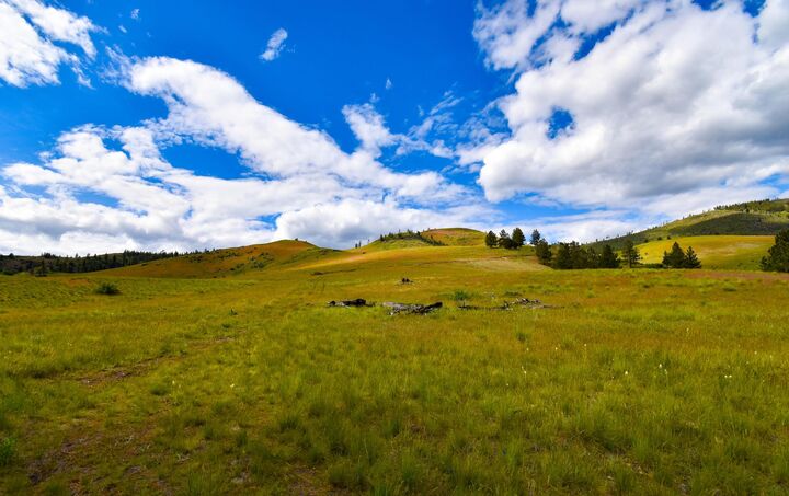 Property Photo:  Tract 2 Henry Creek Road  MT 59859 