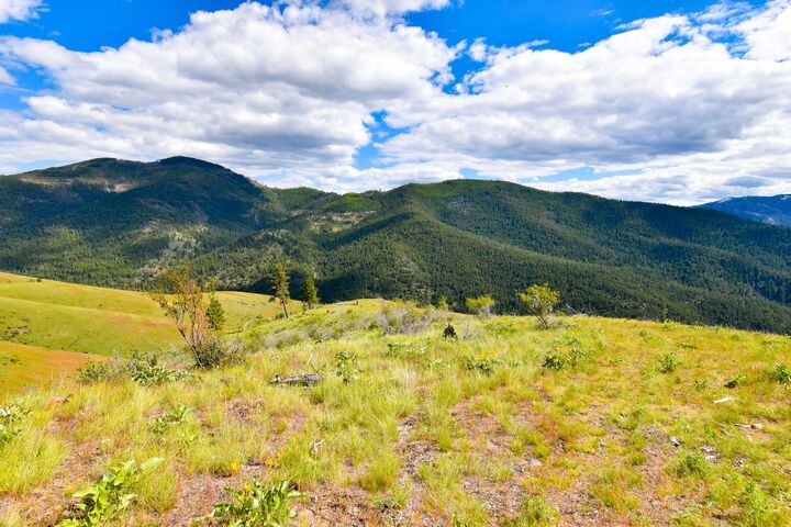 Property Photo:  285 Henry Creek Road  MT 59859 