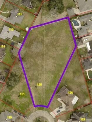 Property Photo: 125 Downing Ct LA 70037