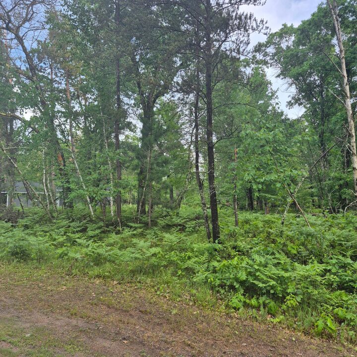 Property Photo:  Lot 216 Deerpath Road  WI 54830 