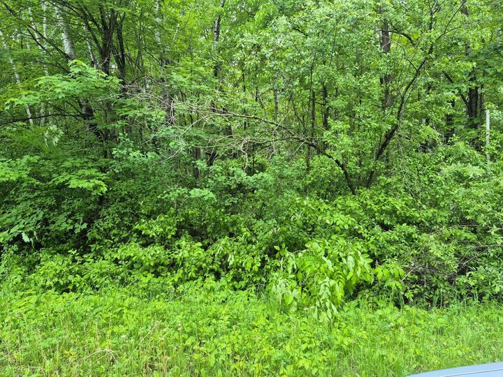 Property Photo:  Tbd Willow Dr  MN 56450 