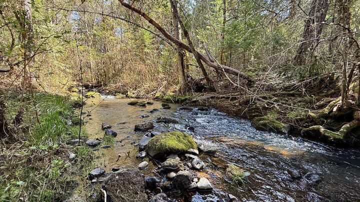 Property Photo: 1760 Mill Creek Drive OR 97536