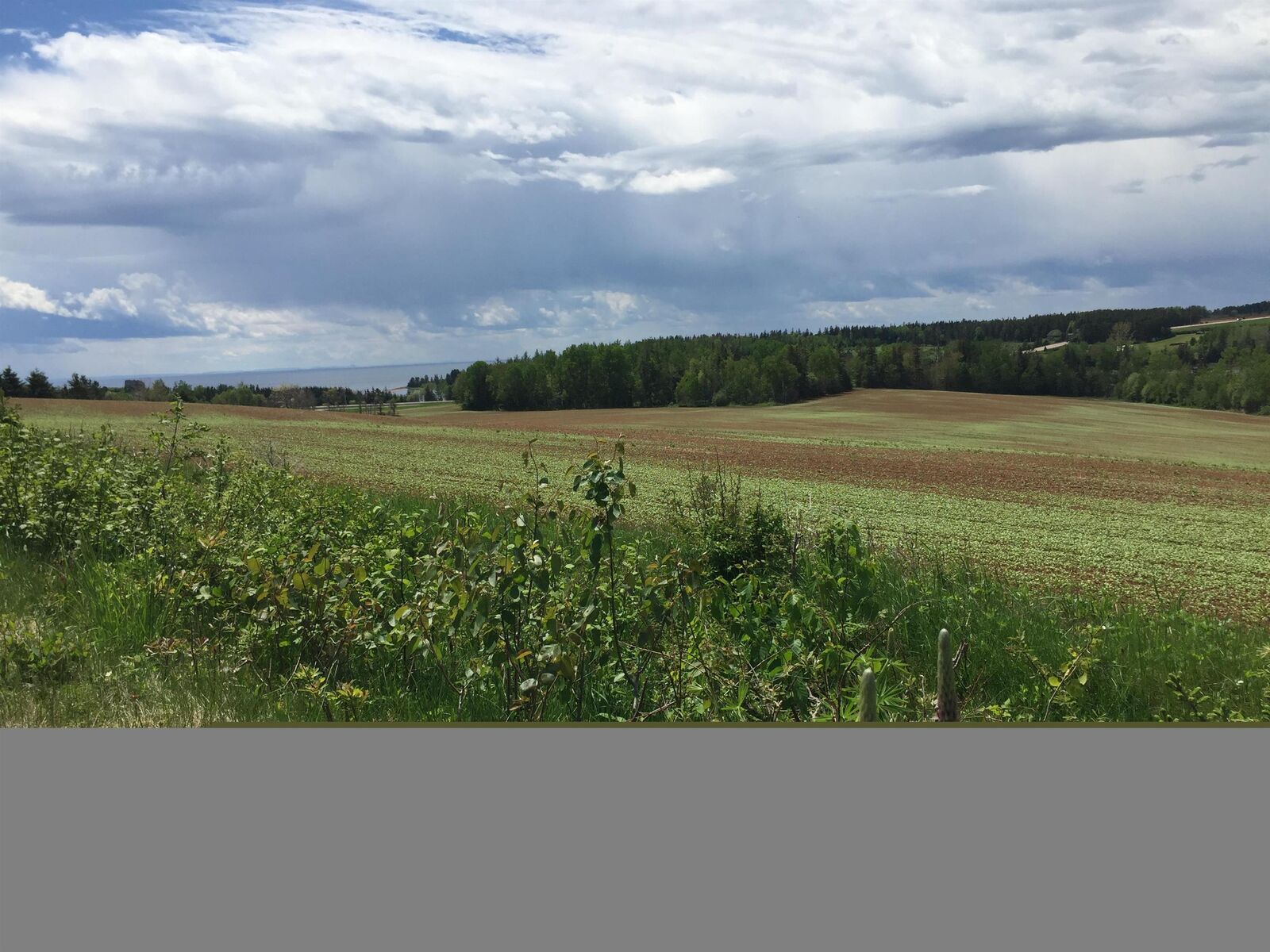 Property Photo: Acreage South Melville Road PE C0A 1J0