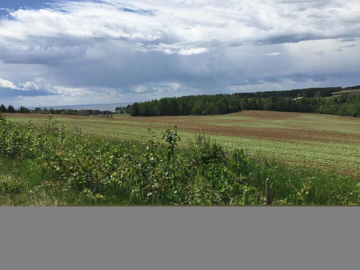 Acreage South Melville Road — photo 1