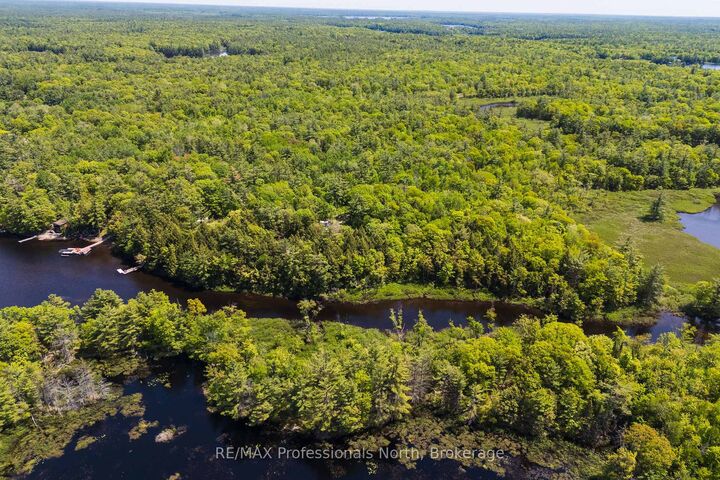 Property Photo:  1204 South Morrison Lake Road 2  ON P0E 1G0 