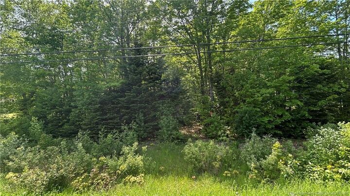Lot Route 135 — photo 1