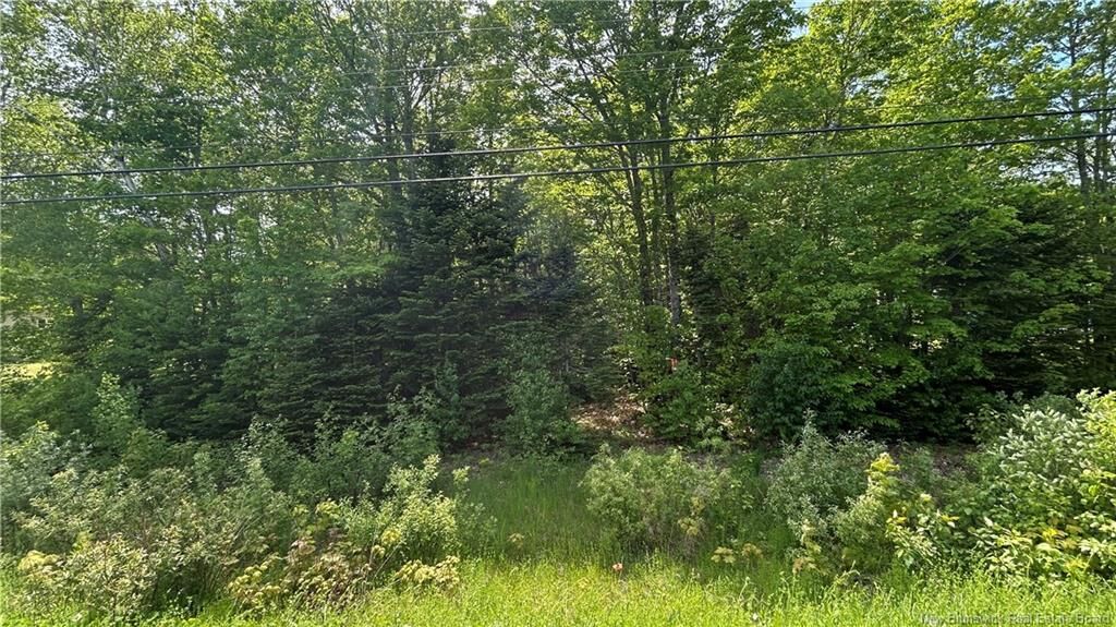 Property Photo:  Lot Route 135  NB E8R 1N1 
