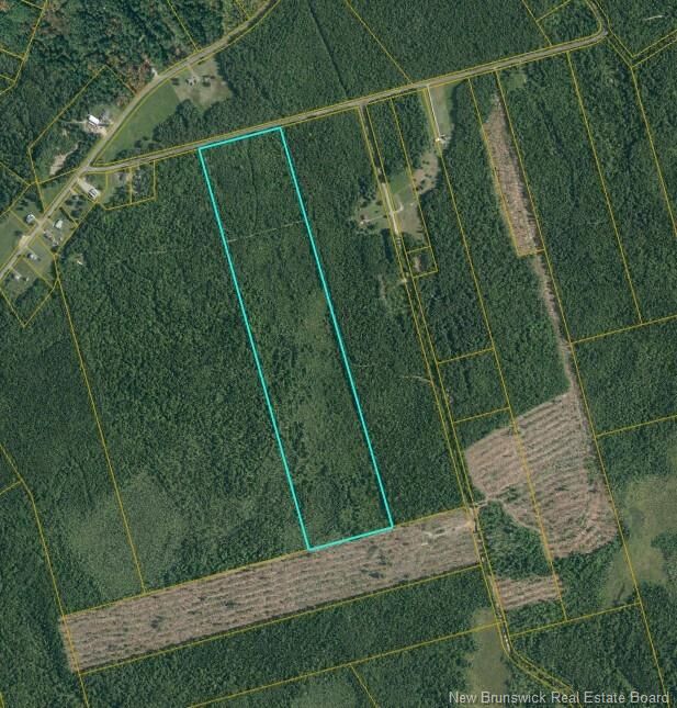 48.98 Acres Alban Richard Road — photo 1