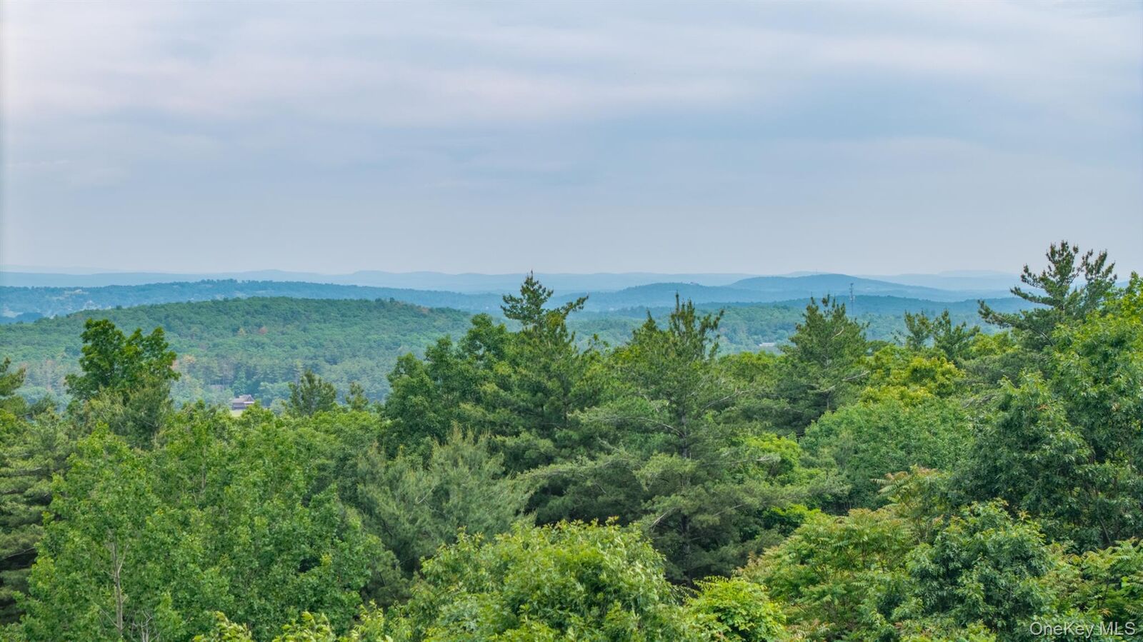 Property Photo: Tbd Skinner Lane NY 12015