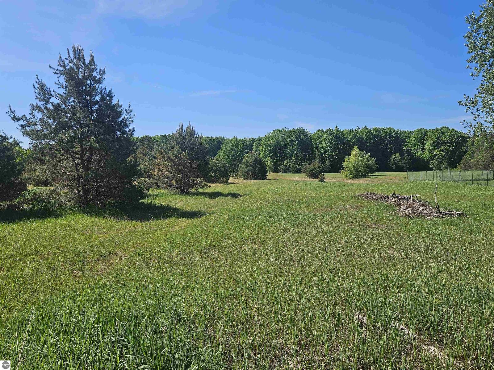 Property Photo:  V/L Parcel B SE Grass Lake Road  MI 49646 