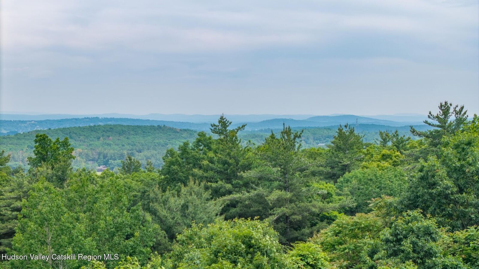 Property Photo:  Tbd Skinner  NY 12015 