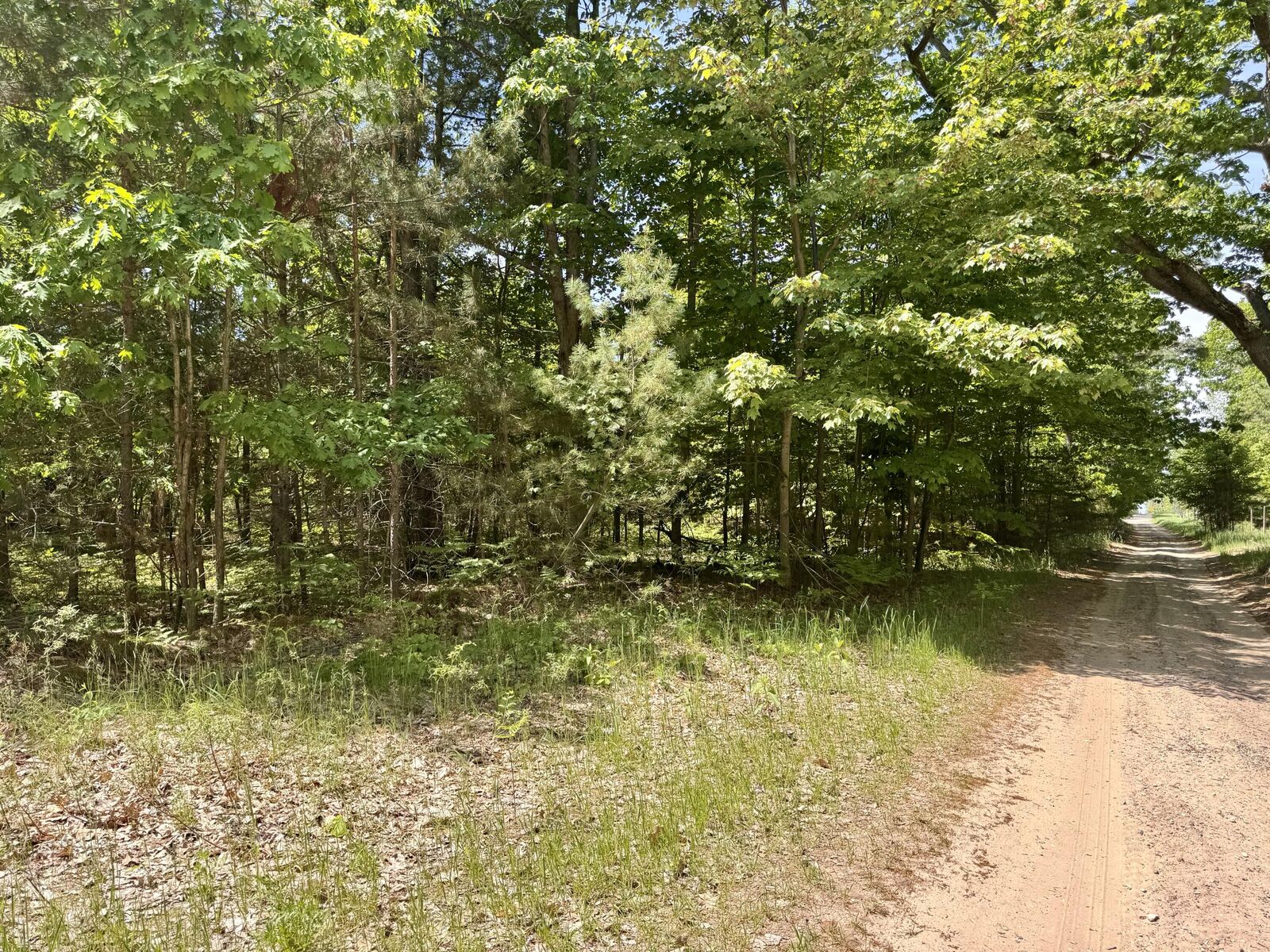 Property Photo: Par 5 Needles Road MI 49749
