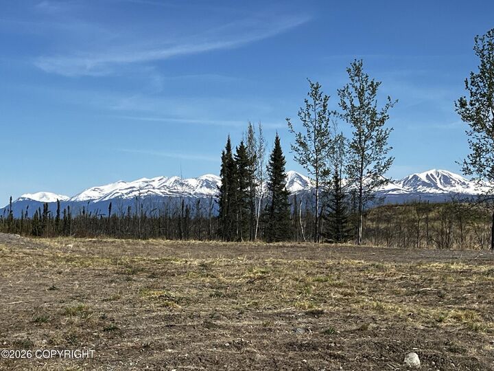 Property Photo: 36150 Cottontree Lane AK 99672