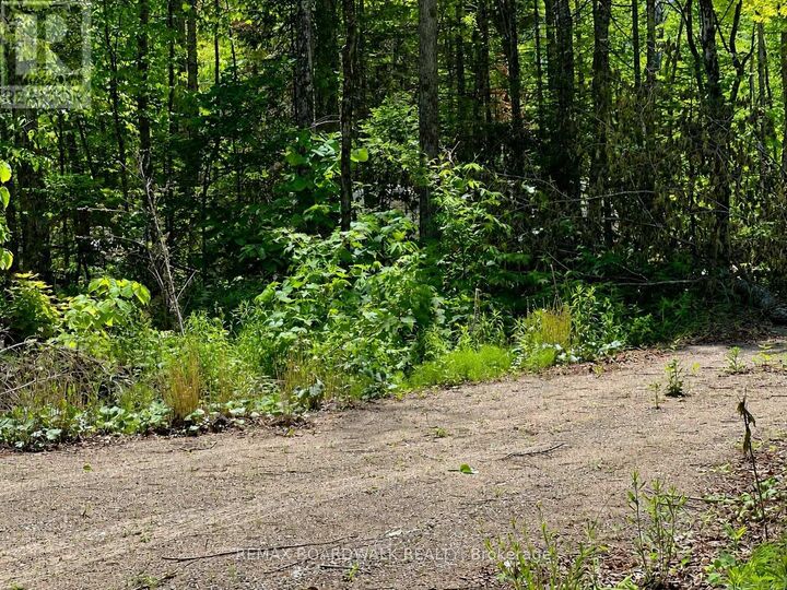 Property Photo:  0 Buckshot Lake Road  ON K0H 1K0 