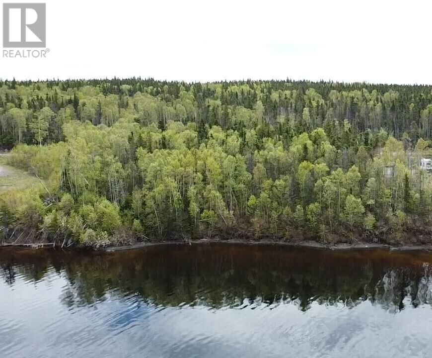 Property Photo:  9 Little Paradise Lake Road  NL A0H 1V0 