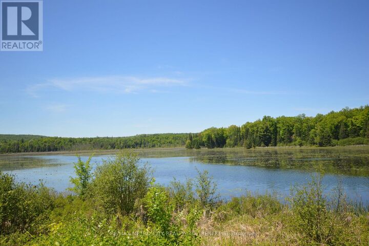 00 Clyde Forks Road — photo 1