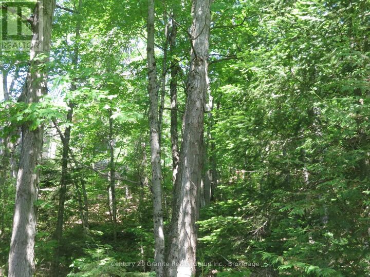 Property Photo: 0 Fire Route 330 Route ON K0M 1R0